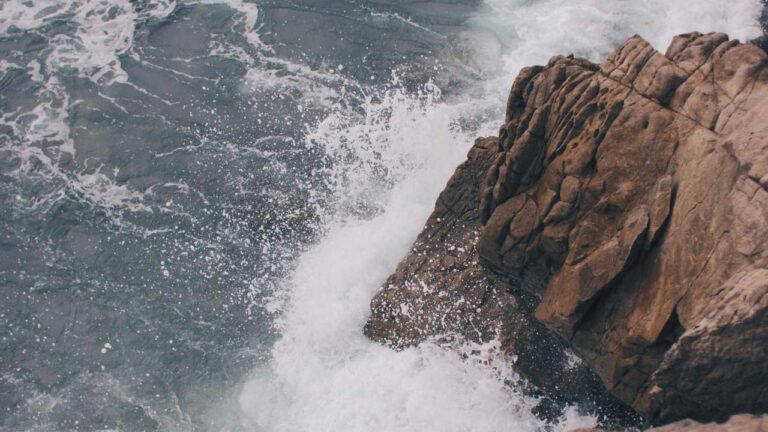 Is 99Exch Real Or Fake According To User Reviews?