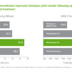 Understanding Reddy Anna ID: Features, Benefits, and How It Transforms Digital Identity Management